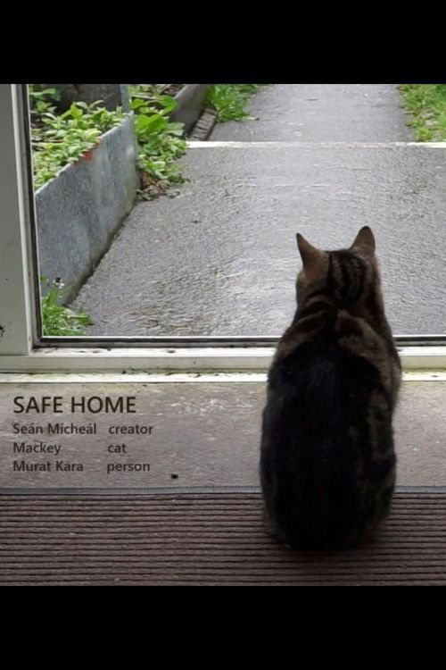 Home Safe