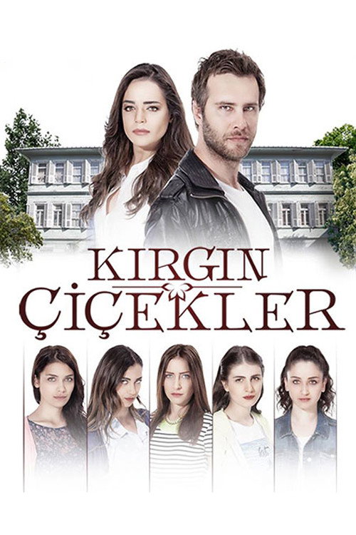 kirgin cicekler