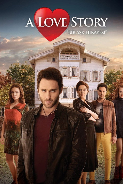 bir ask hikayesi